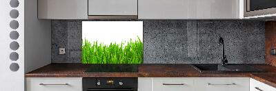 Cooker splashback Grass