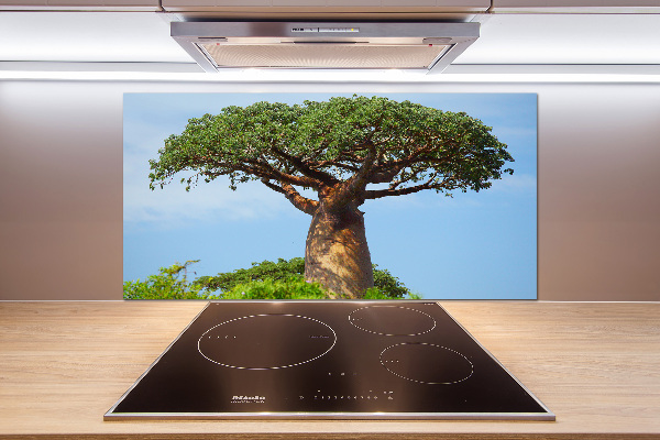 Cooker splashback Baobab