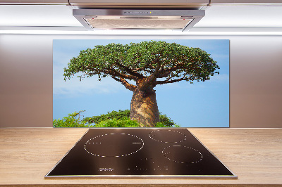 Cooker splashback Baobab