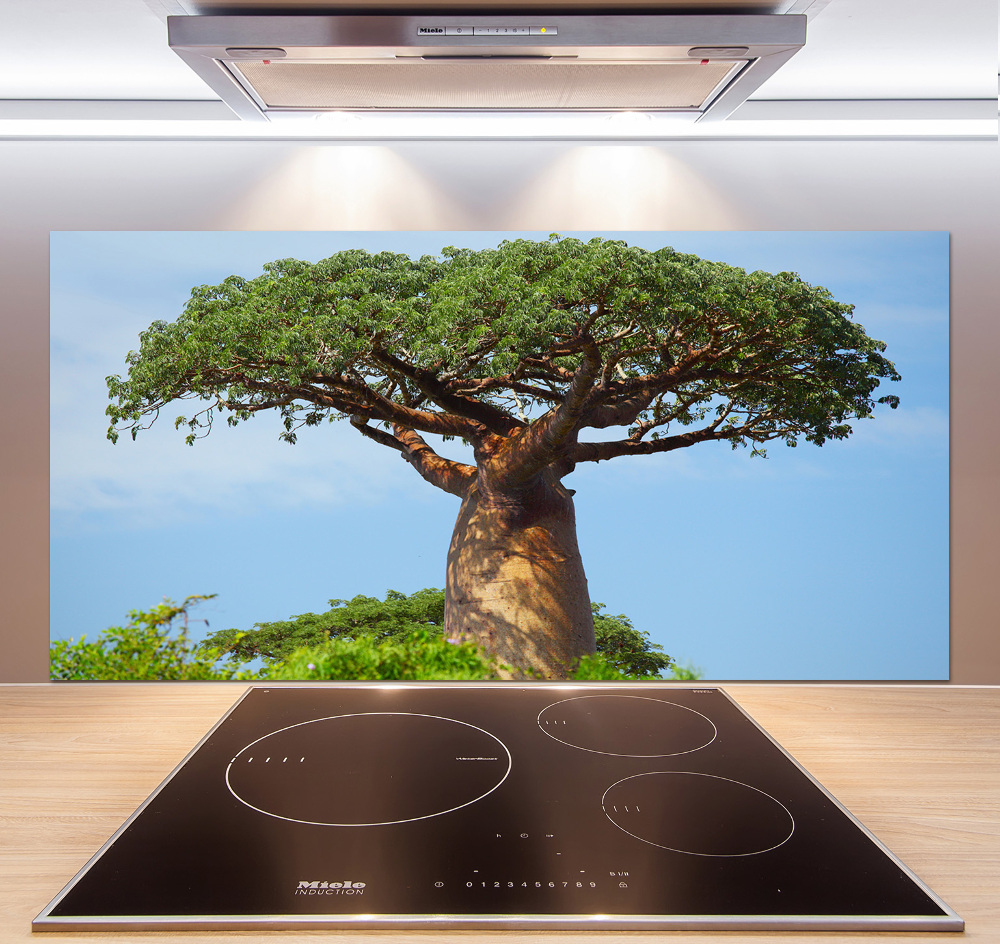 Cooker splashback Baobab