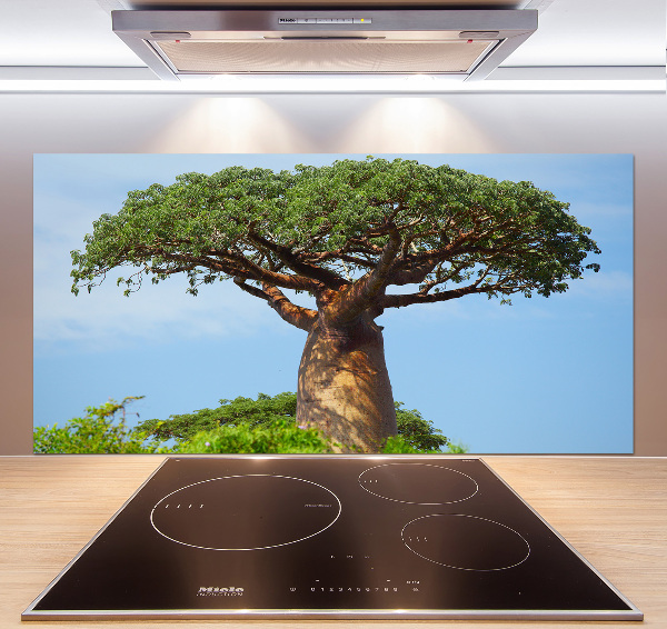 Cooker splashback Baobab