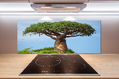 Cooker splashback Baobab