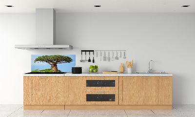 Cooker splashback Baobab