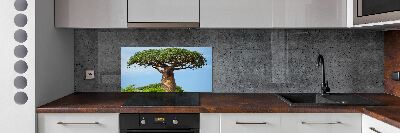 Cooker splashback Baobab