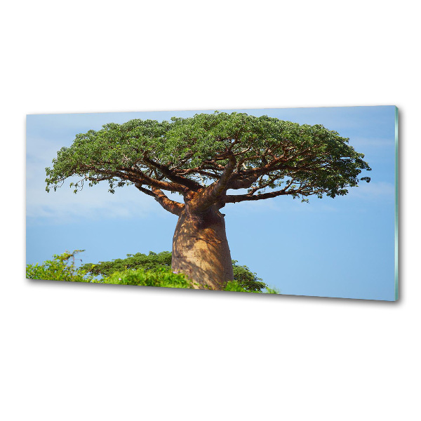 Cooker splashback Baobab