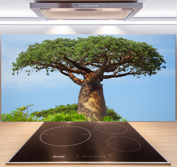 Cooker splashback Baobab