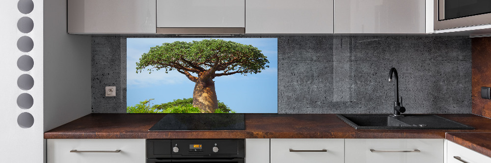 Cooker splashback Baobab