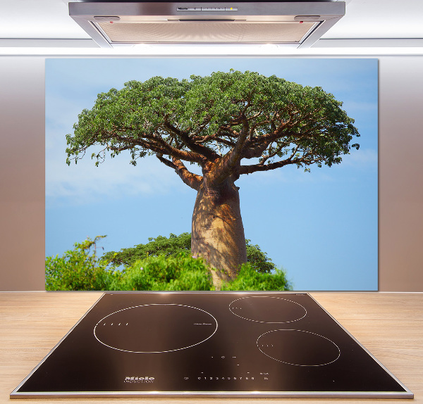 Cooker splashback Baobab