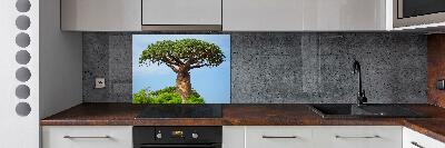 Cooker splashback Baobab