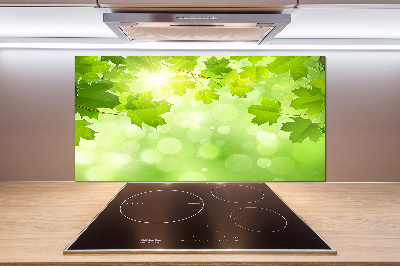 Cooker splashback Chestnut leaves