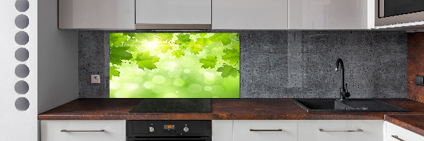 Cooker splashback Chestnut leaves