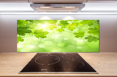 Cooker splashback Chestnut leaves