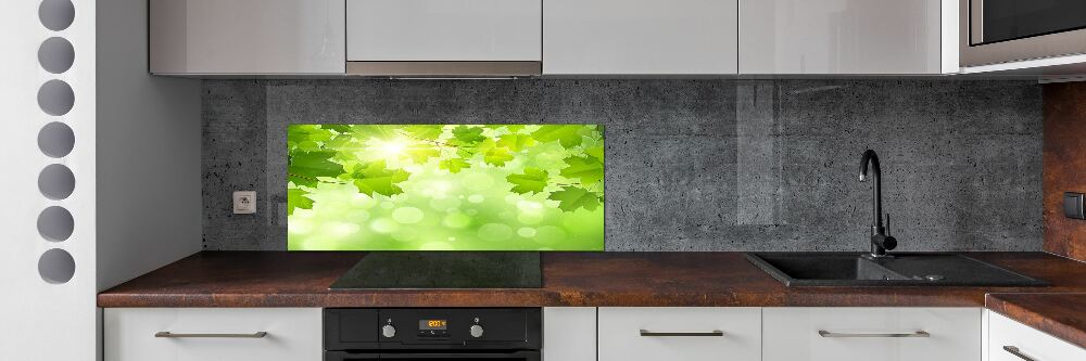 Cooker splashback Chestnut leaves