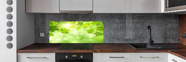 Cooker splashback Chestnut leaves