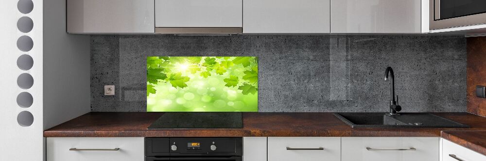 Cooker splashback Chestnut leaves