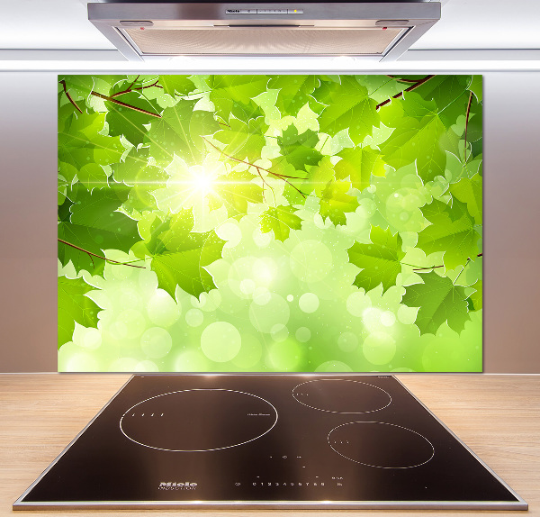 Cooker splashback Chestnut leaves