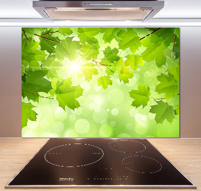 Cooker splashback Chestnut leaves