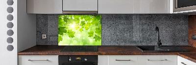 Cooker splashback Chestnut leaves