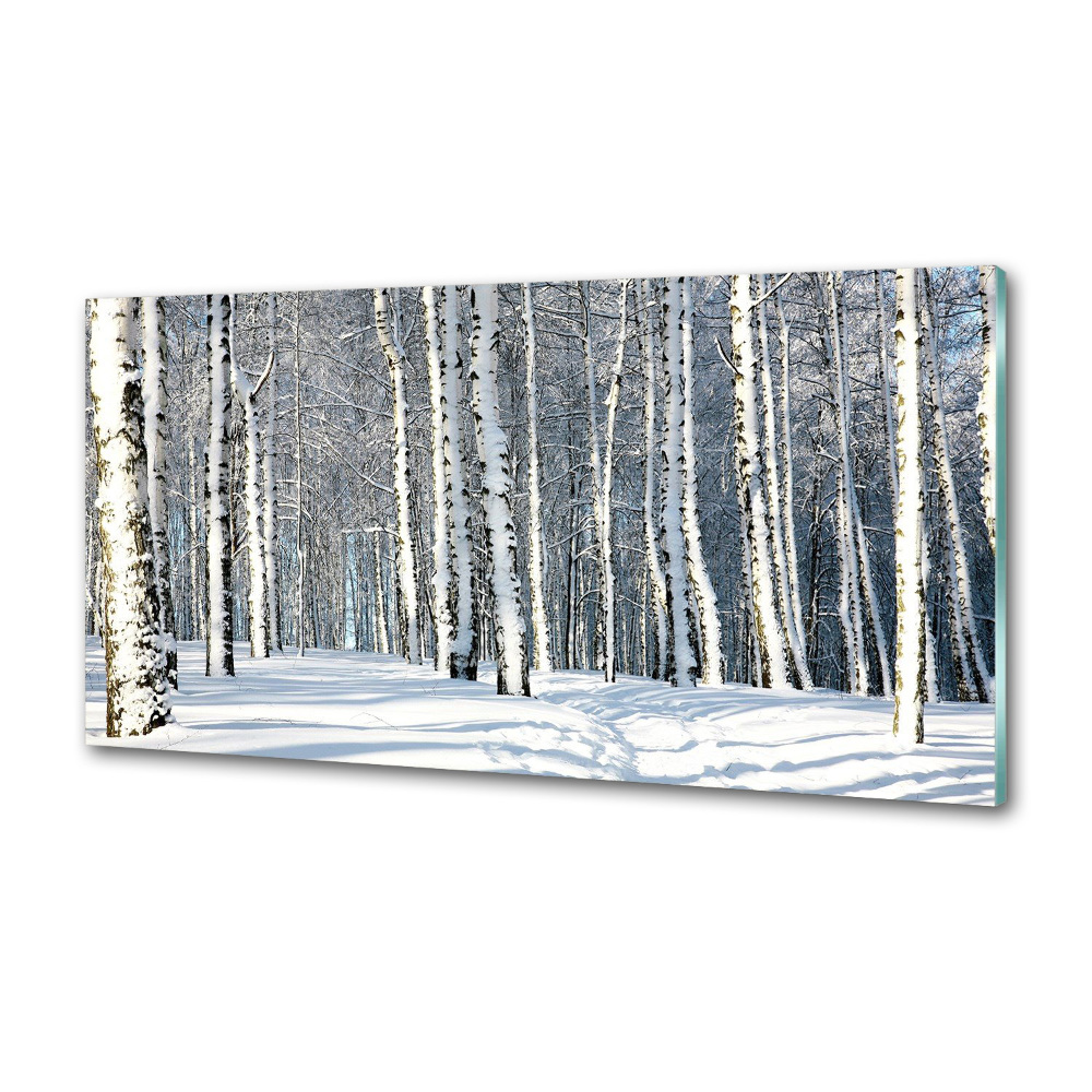 Cooker splashback Forest in winter