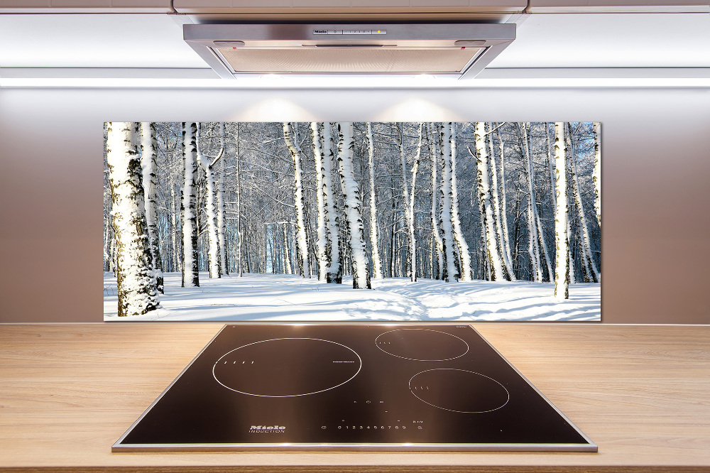 Cooker splashback Forest in winter