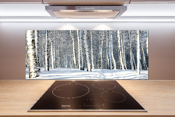 Cooker splashback Forest in winter