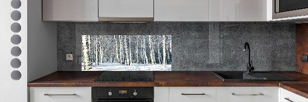 Cooker splashback Forest in winter