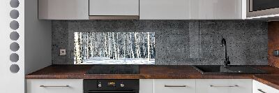 Cooker splashback Forest in winter