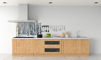 Cooker splashback Forest in winter