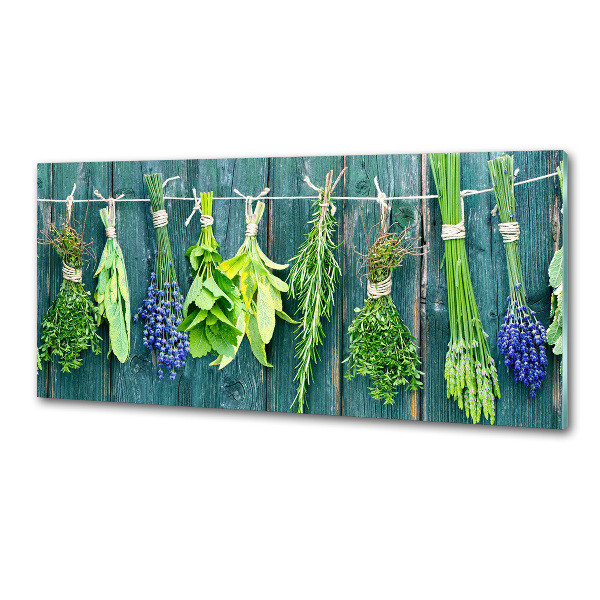 Cooker splashback Herbs on a string