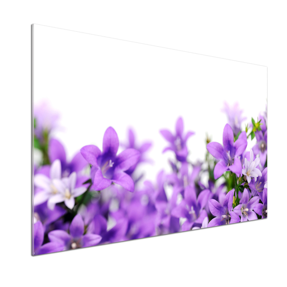 Cooker splashback Purple bells