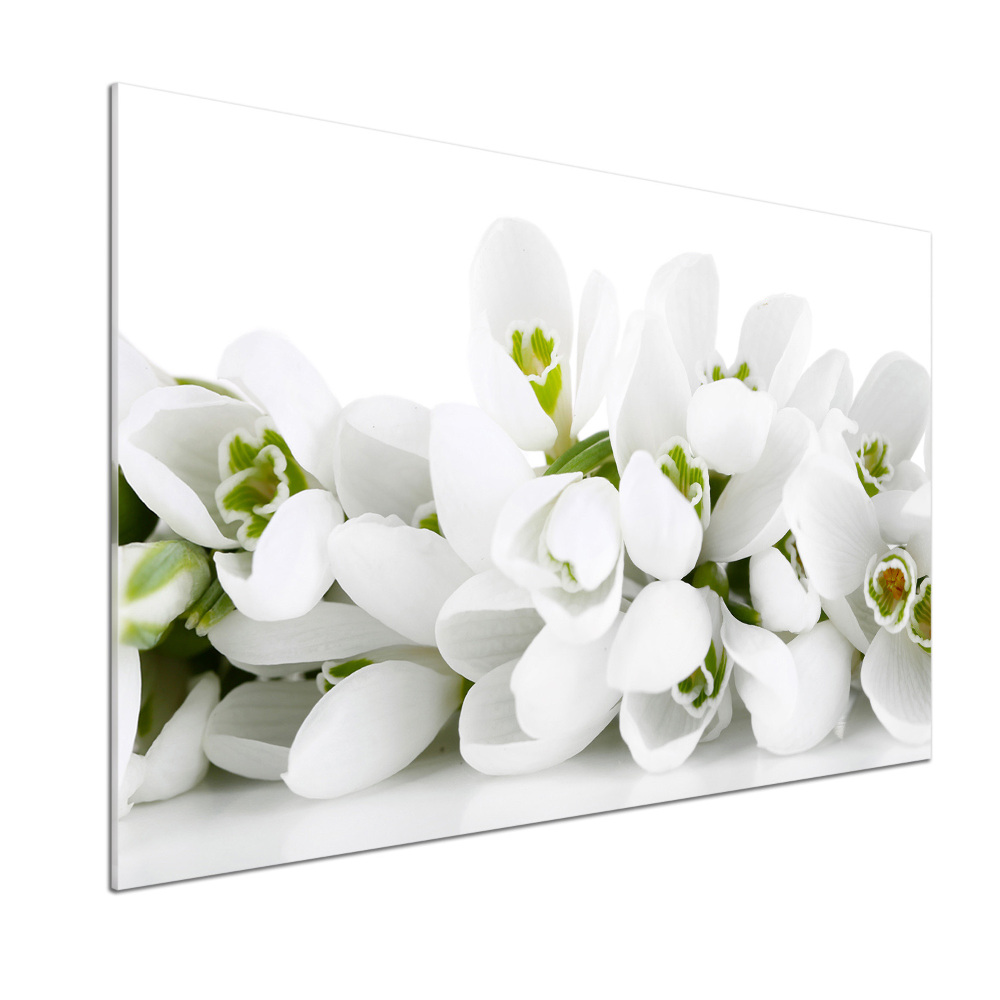 Cooker splashback Snowdrops