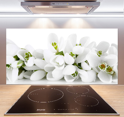 Cooker splashback Snowdrops