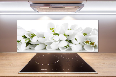 Cooker splashback Snowdrops