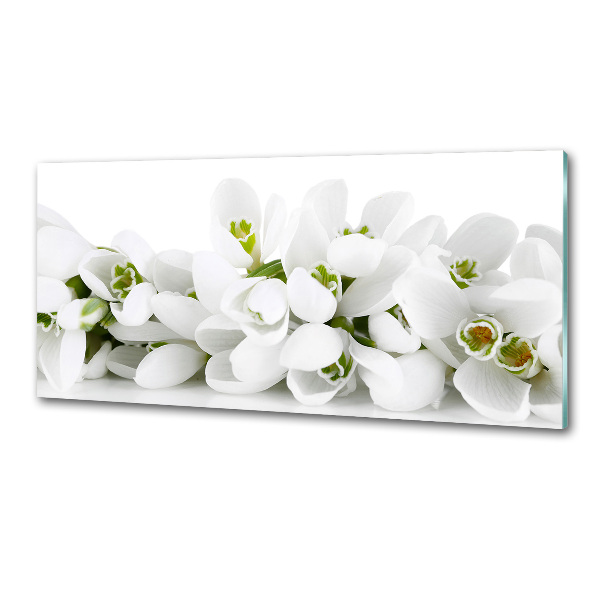 Cooker splashback Snowdrops