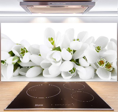 Cooker splashback Snowdrops