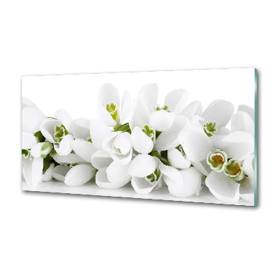 Cooker splashback Snowdrops