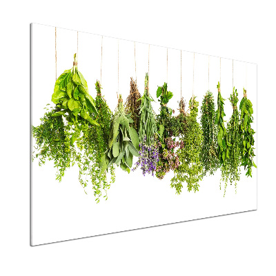 Cooker splashback Herbs on a string