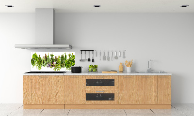 Cooker splashback Herbs on a string