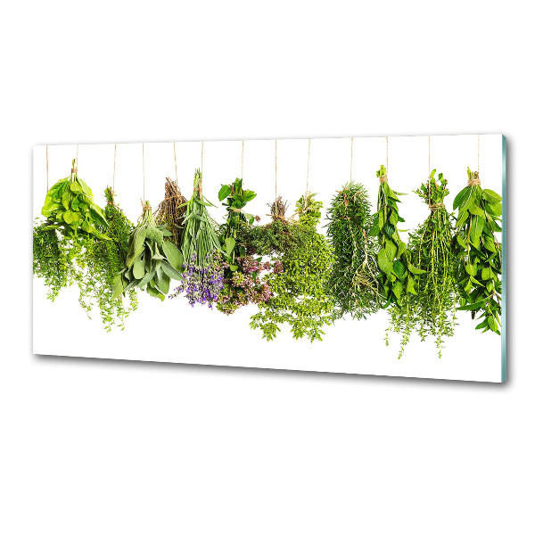 Cooker splashback Herbs on a string