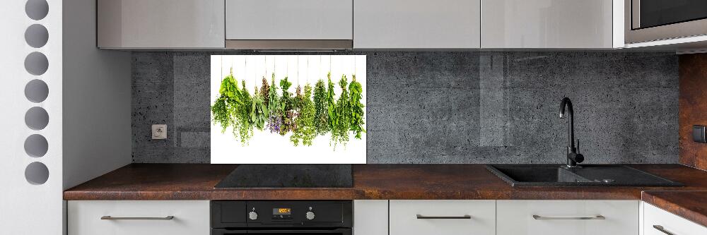 Cooker splashback Herbs on a string