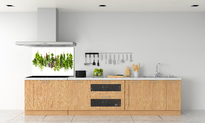 Cooker splashback Herbs on a string