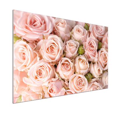 Cooker splashback Roses