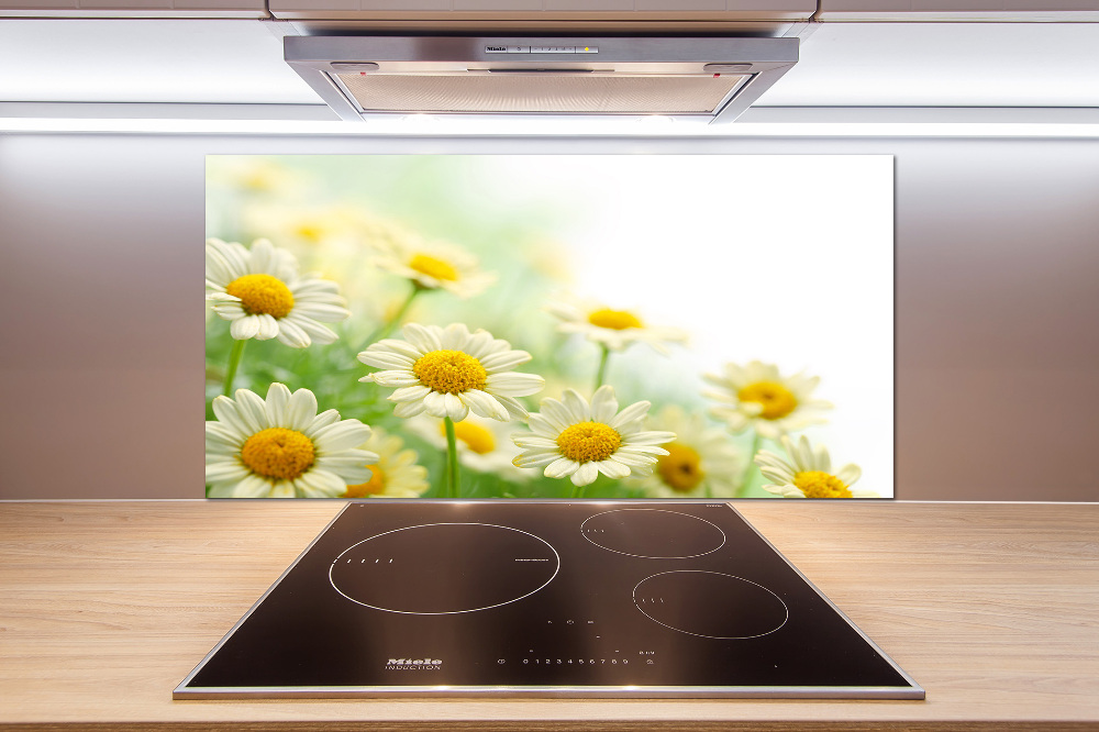 Cooker splashback Daisy