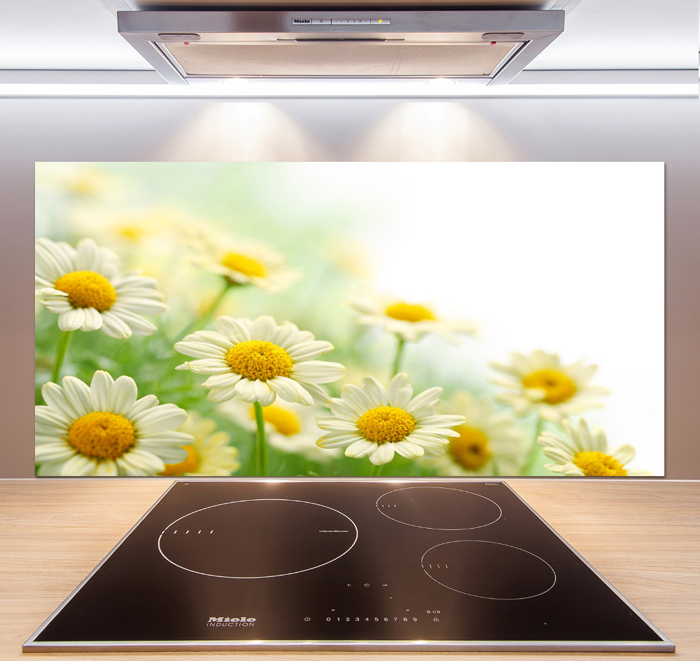 Cooker splashback Daisy