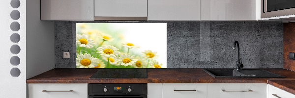 Cooker splashback Daisy