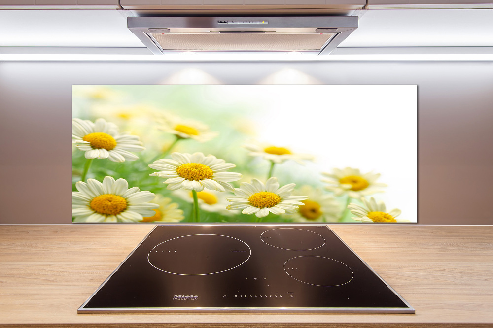 Cooker splashback Daisy