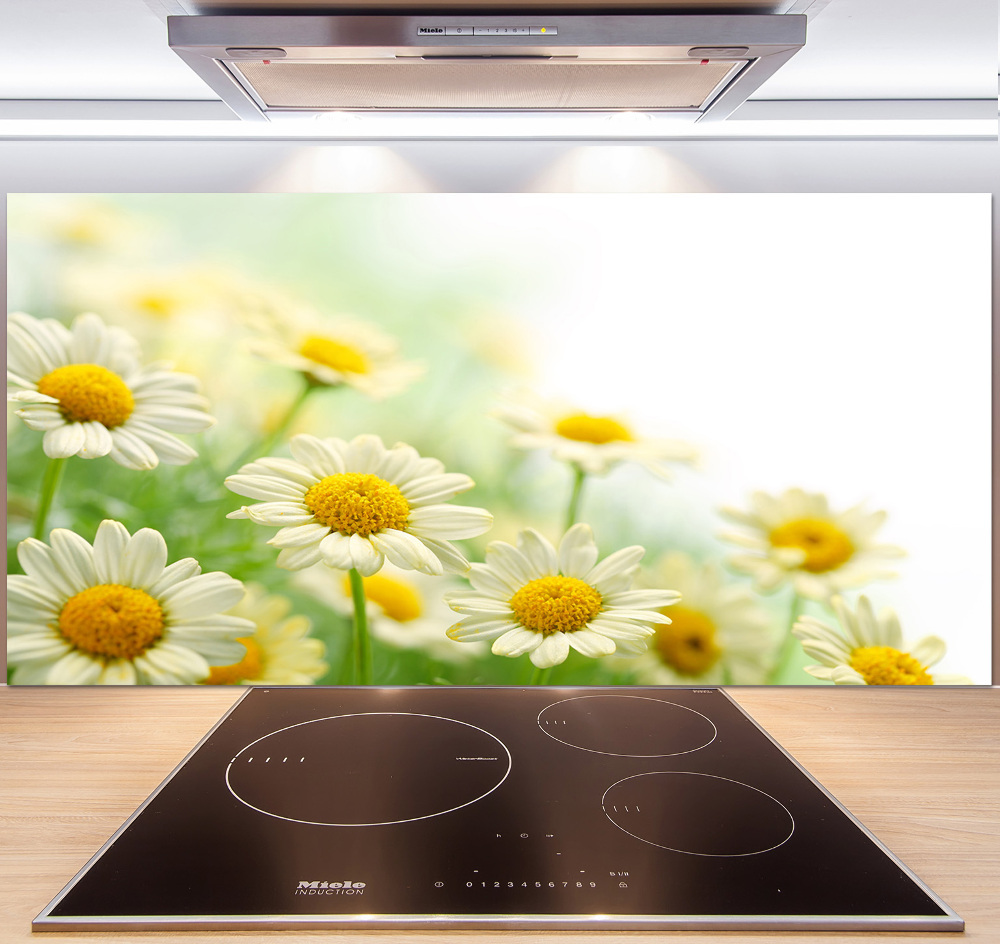 Cooker splashback Daisy