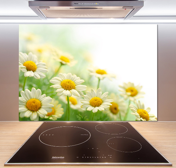 Cooker splashback Daisy