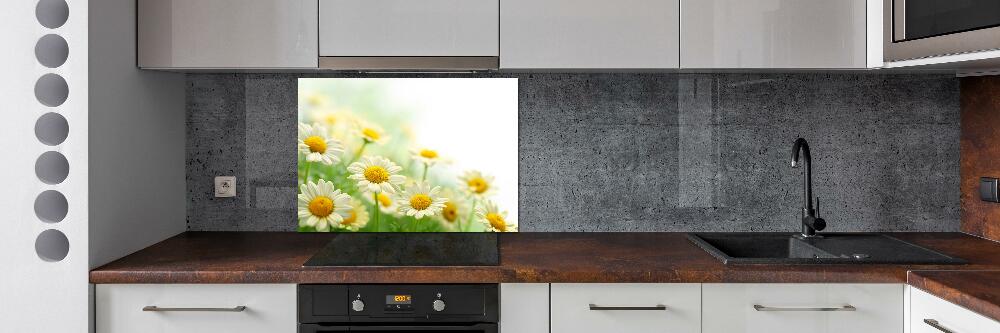 Cooker splashback Daisy