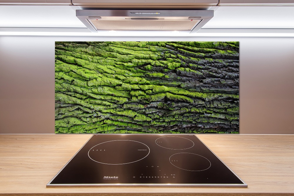 Cooker splashback Tree bark